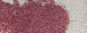 Red spill stain